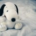 #1632 « Photo de Snoopy »