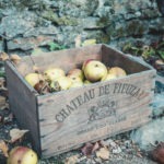 #1711 Cagette de pommes