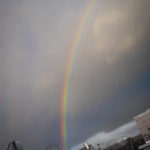 #2536 Single rainbow